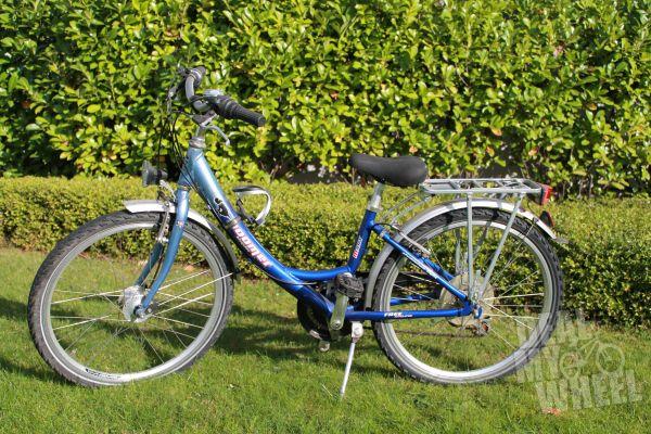 Fahrrad für Mädchen (Zwillinge neue & gebrauchte